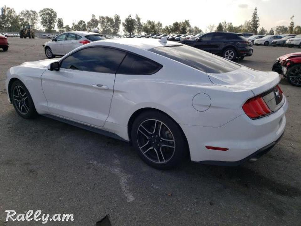 Ford Mustang կուպե, 2.3 լ, 2021 թ. 