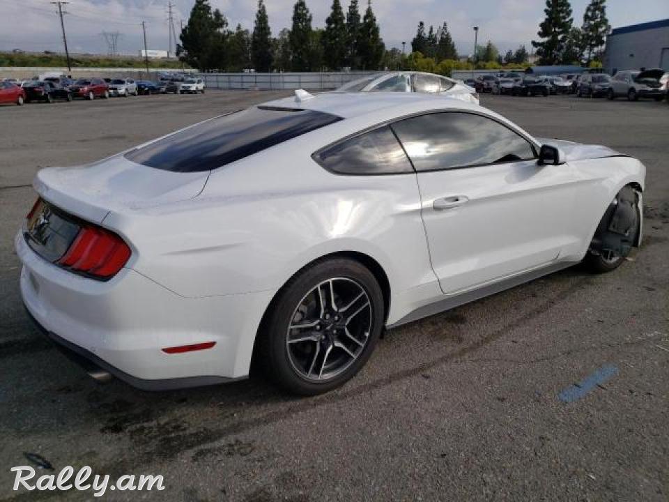 Ford Mustang կուպե, 2.3 լ, 2021 թ. 