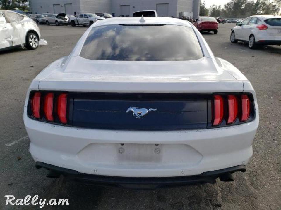 Ford Mustang կուպե, 2.3 լ, 2021 թ. 