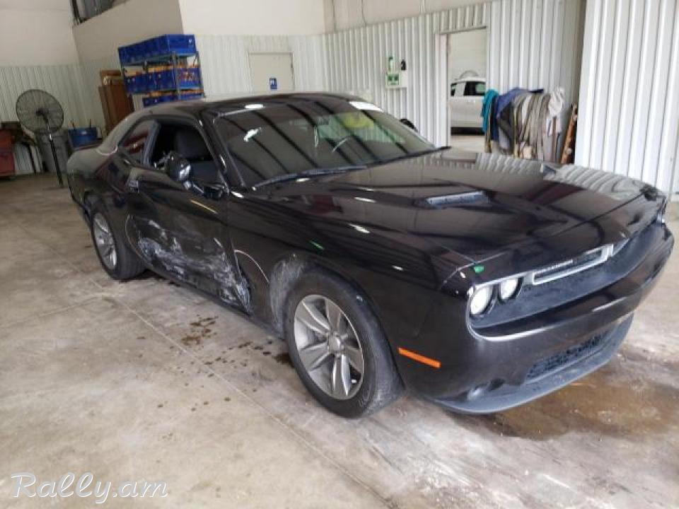 Dodge Challenger կուպե, 3.6 լ, 2019 թ.