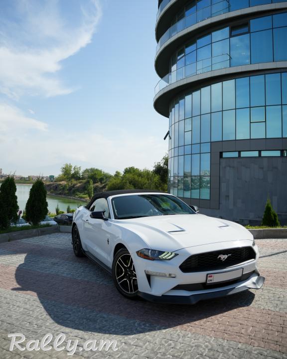 Ford Mustang кабриолет Аренда Авто Прокат Rent a car Ավտոմեքենաների վարձույթ Օրավարձով Ավտովարձույթ