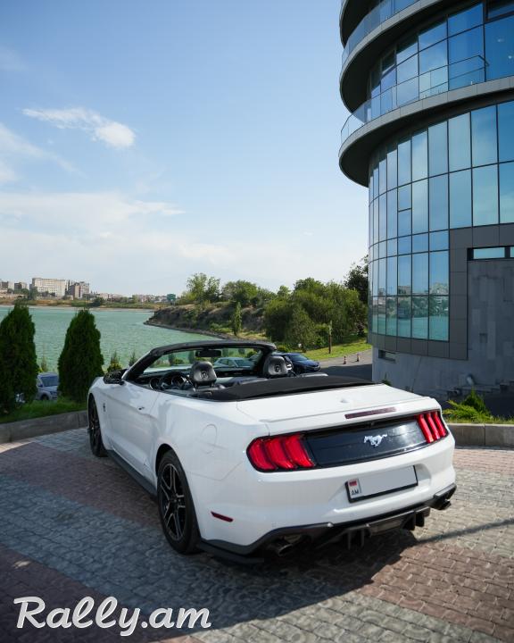 Ford Mustang кабриолет Аренда Авто Прокат Rent a car Ավտոմեքենաների վարձույթ Օրավարձով Ավտովարձույթ