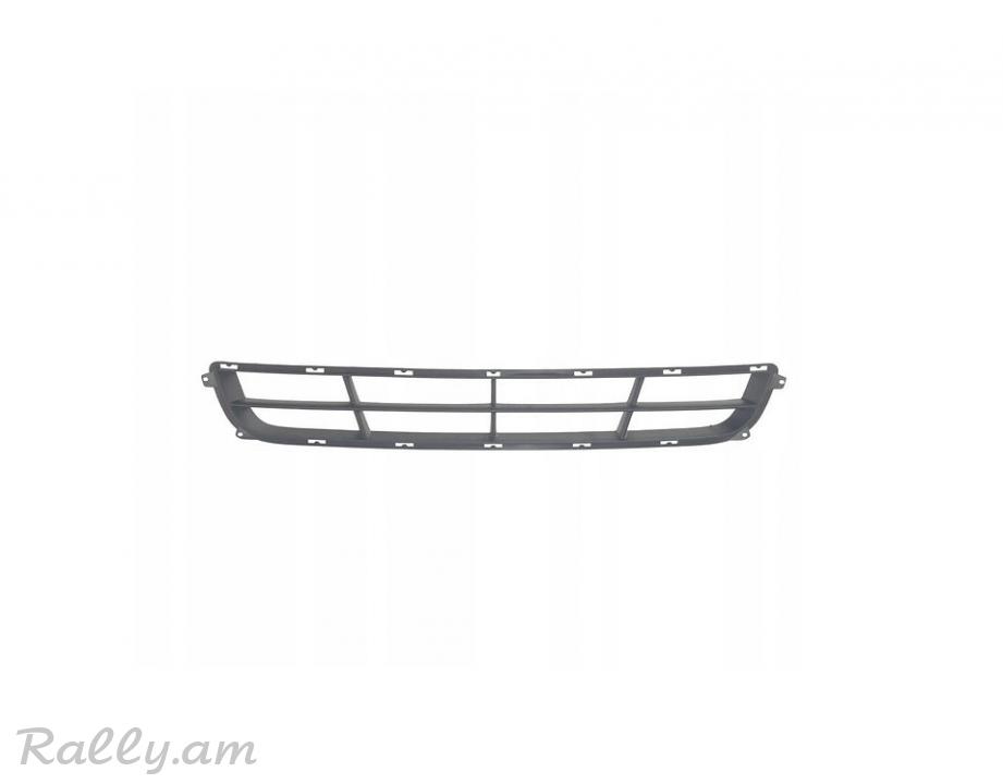 Hyundai Sonata V 2004-2007 Շիթի Ցանց POLCAR