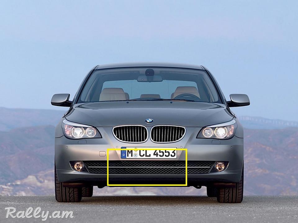 BMW E60 2007-2010 Շիթի Ցանց POLCAR