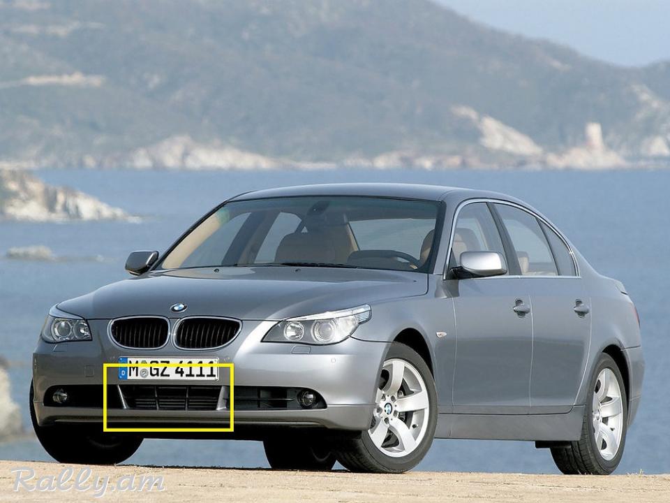 BMW E60 2003-2007 Շիթի Ցանց POLCAR