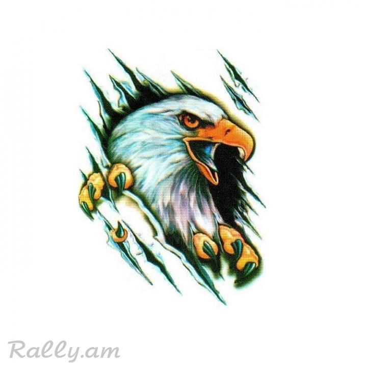 3D Sticker Орел (35X50սմ)