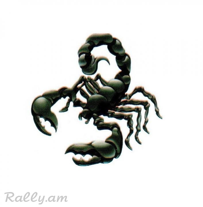 3D Sticker Скорпион (31X34սմ)