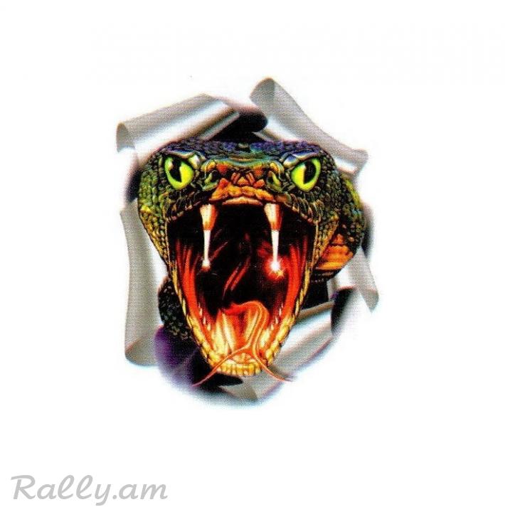 3D Sticker Змея (35X50սմ)