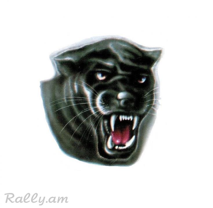 3D Sticker Пантера (45X50սմ)