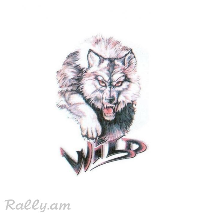 3D Sticker Волк №2 (35X50սմ) (60X80սմ)