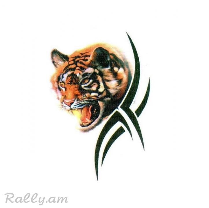 3D Sticker Тигр №3 (35X50սմ)