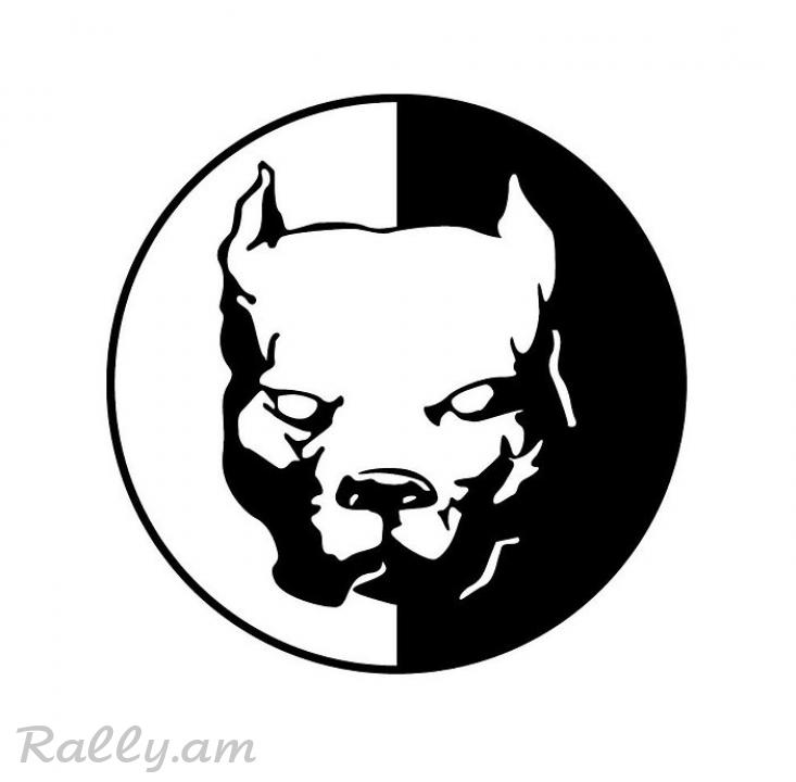 Sticker Питбуль №4 (56X56սմ)