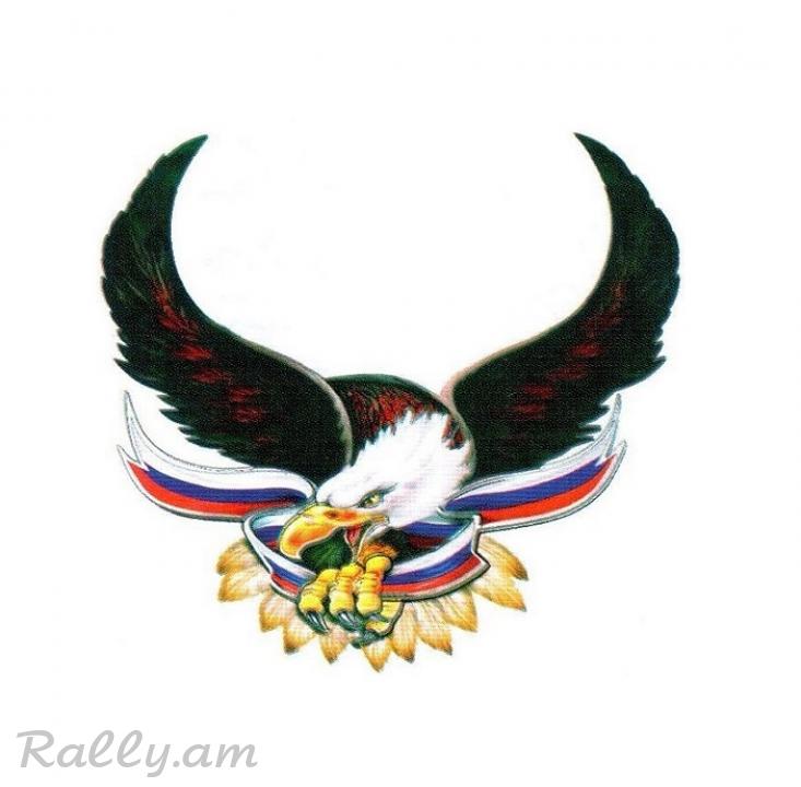 3D Sticker Орел №3 (50X52սմ)