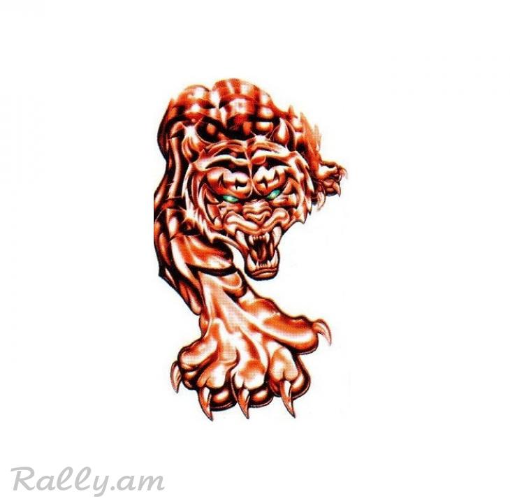 3D Sticker Тигр №4 (39X68սմ) (50X70սմ)