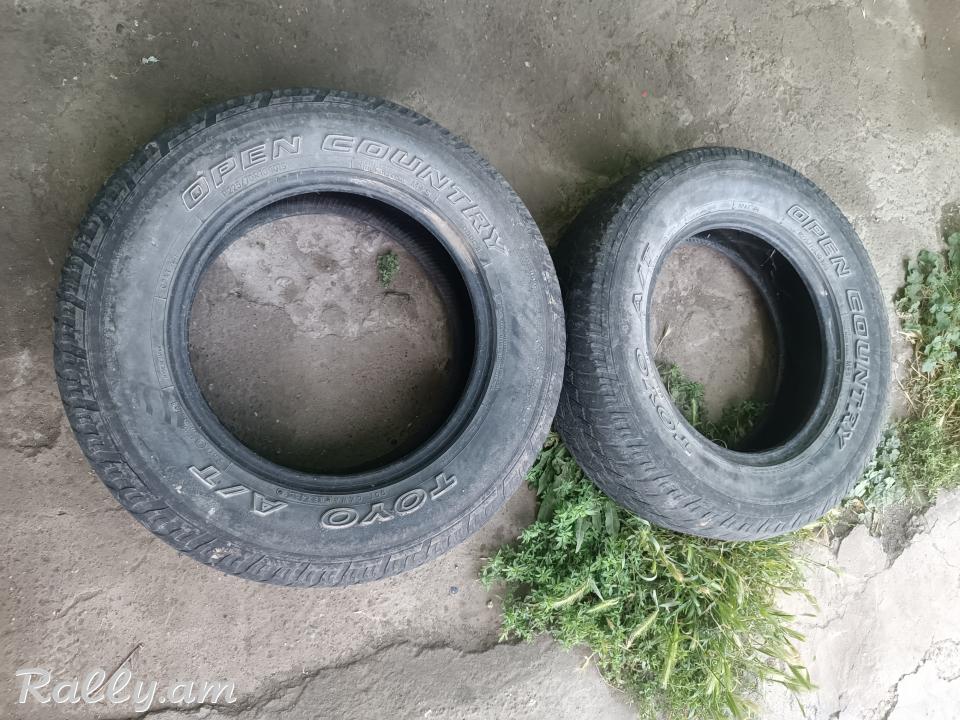 R16 pagrishka պագրիշկա