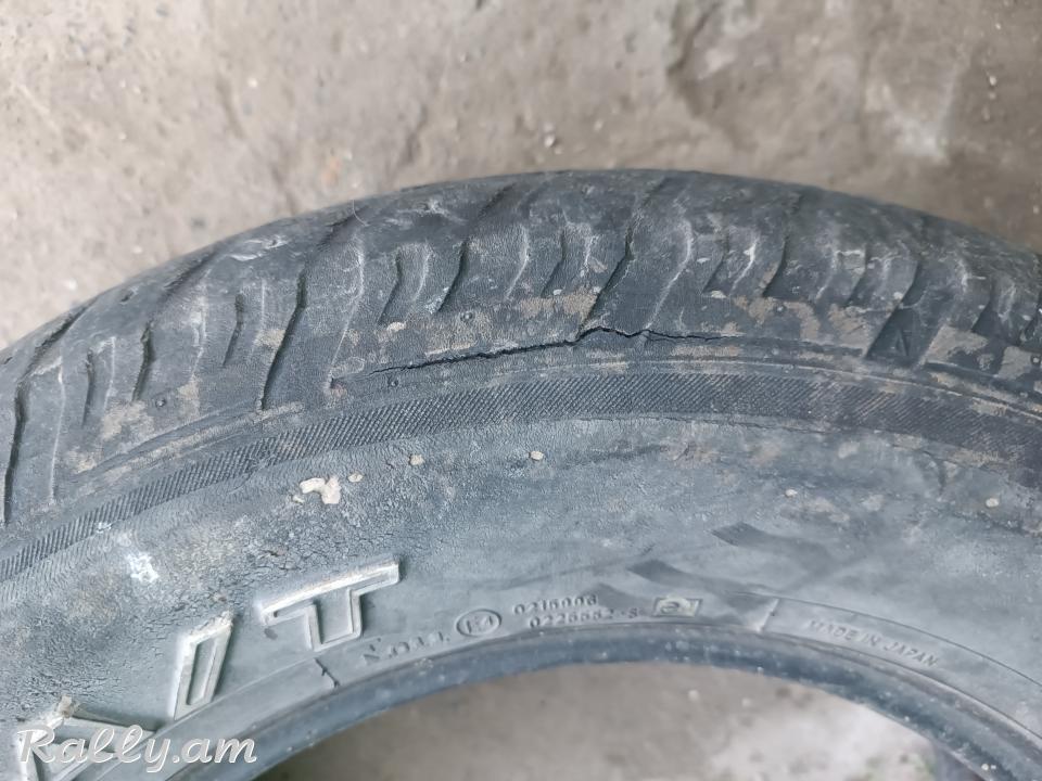 R16 pagrishka պագրիշկա