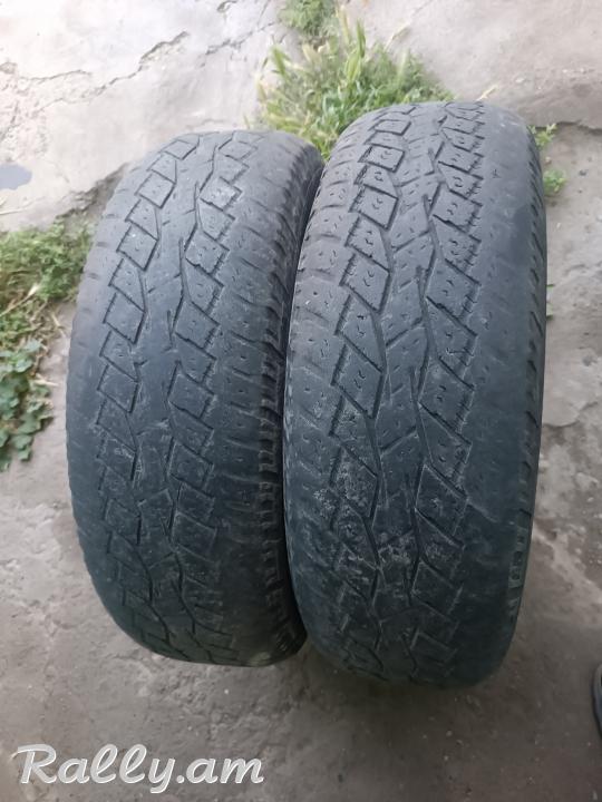 R16 pagrishka պագրիշկա