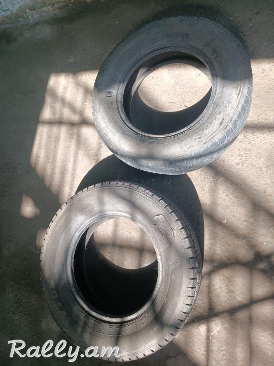 R16 agrishka dzmerayin anvadox r 16