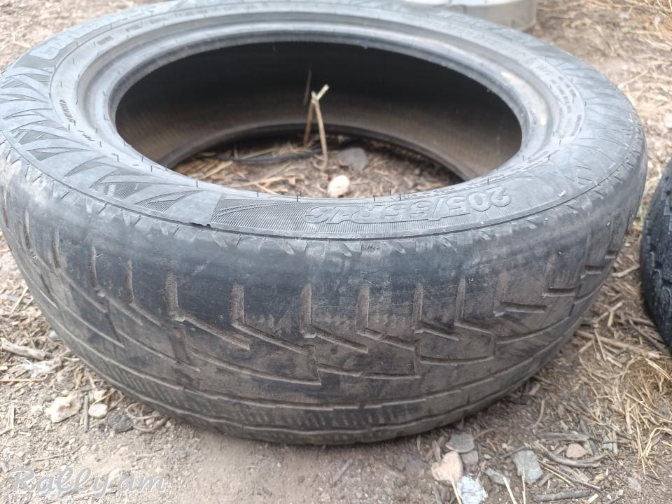 R16 pagrishka 205/55/r16