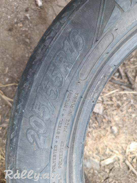 R16 pagrishka 205/55/r16