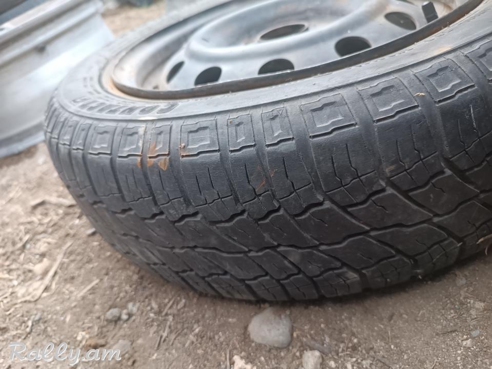 R14 bandaj pagrishka
