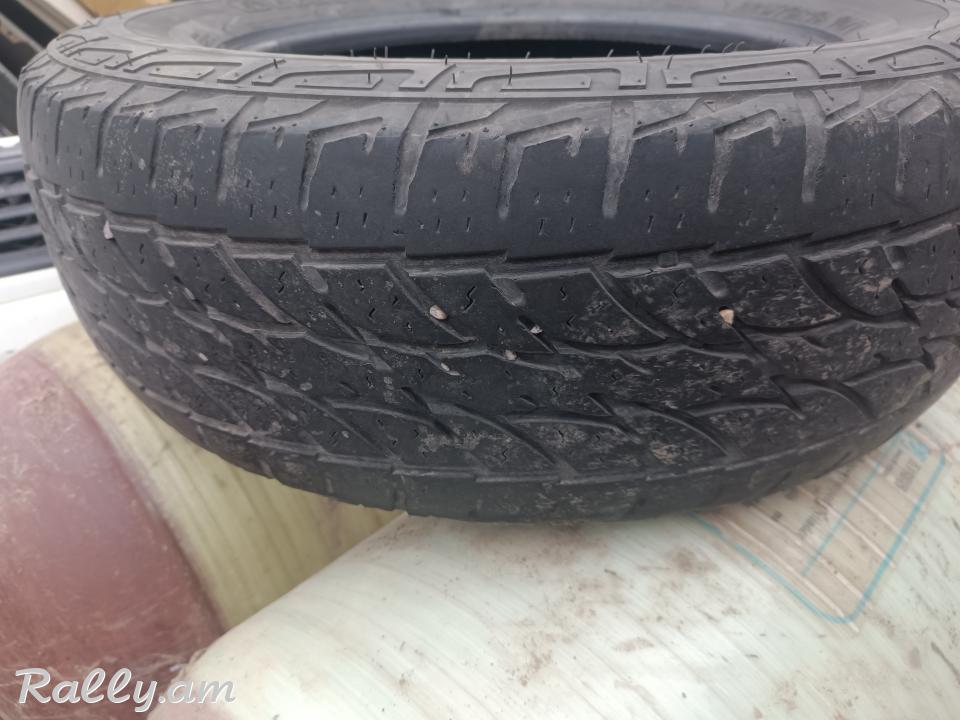 R16 pagrishka 225/70 r16