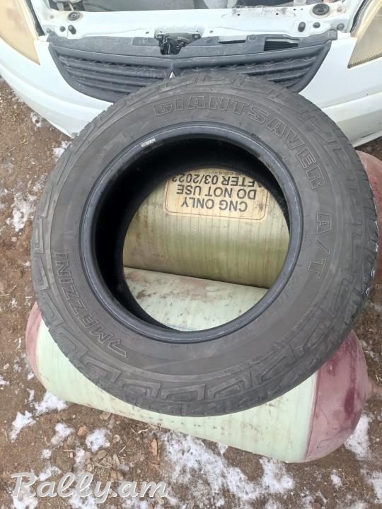R16 pagrishka 225/70 r16