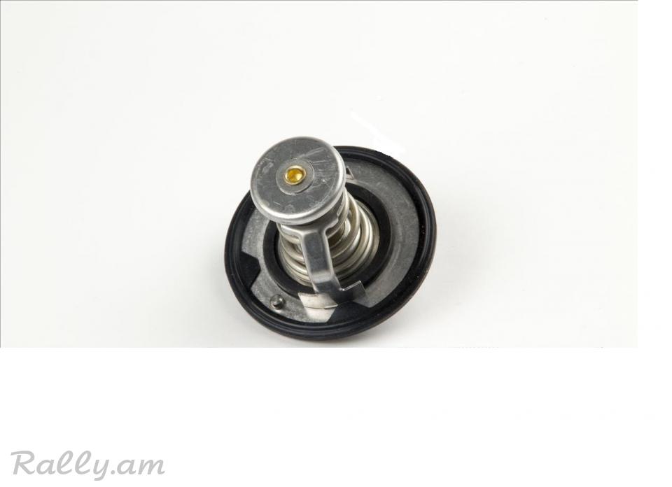 CHERY FORA TERMOSTAT,Термостат.4224