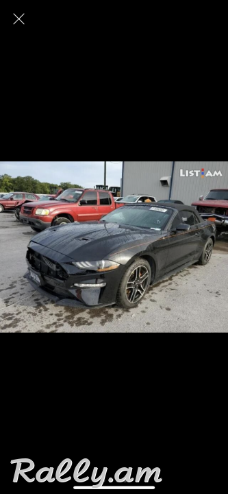 Raskulachit ford mustang