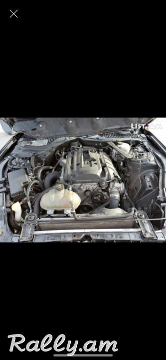 Raskulachit ford mustang